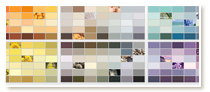 Color Palette Ideas